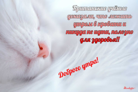 Baixar Прикольные с добрым утром Entretenimento para Android captura de tela 5