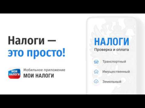 Baixar Мои налоги: личный кабинет Finanças para Android captura de tela 8