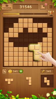 Wood Block Puzzle - Block Game