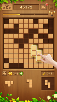 Wood Block Puzzle - Block Game