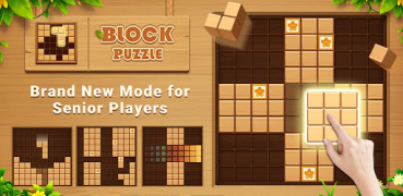 Wood Block Puzzle - Block Game