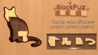 Baixar BlockPuz: Wood Block Puzzle Quebra-cabeças para Android captura de tela 6
